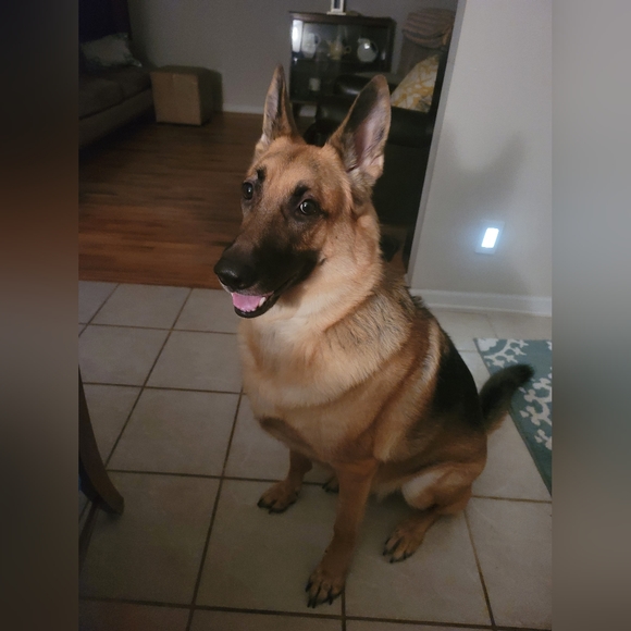 Meet your Posher, Kaitlyn 🌺 - Picture 3 of 5